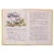 Детская книга "КзК Бианки. Кто чем поёт? (тверд переплет)" - 340 руб. Серия: Книга за книгой , Артикул: 5400512