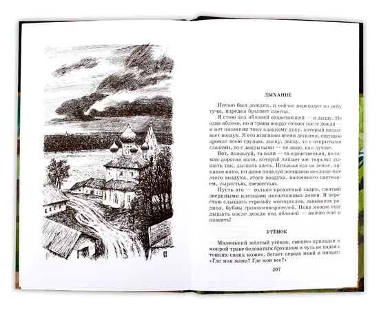 Детская книга "ШБ Солженицын. Матренин двор" - 370 руб. Серия: Школьная библиотека, Артикул: 5200151