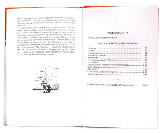 Детская книга "ШБ Шолохов.Донские рассказы,Судьба человека" - 475 руб. Серия: 9 класс, Артикул: 5200164