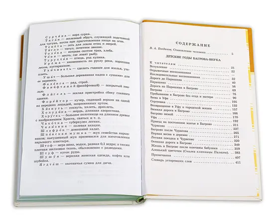 Детская книга "ШБ Аксаков. Детские годы Багрова-внука" - 460 руб. Серия: Школьная библиотека, Артикул: 5200005