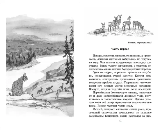 Детская книга "ШБ Зиганшин. Таежными тропами" - 720 руб. Серия: Школьная библиотека, Артикул: 5200384