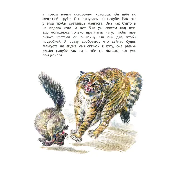 Детская книга "КзК Житков. Рассказы о животных" - 320 руб. Серия: Для начальной школы (1-4 класс), Артикул: 5400544