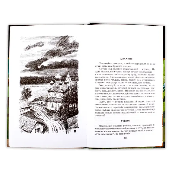 Детская книга "ШБ Солженицын. Матренин двор" - 370 руб. Серия: Школьная библиотека, Артикул: 5200151