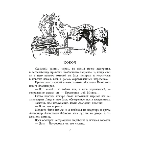 Детская книга "ВД Великанов. Пират, ищи!" - 440 руб. Серия: Военное детство , Артикул: 5800830
