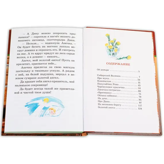 Детская книга "ШБ Вьюгина. Сибирский Валенок" - 297 руб. Серия: Школьная библиотека, Артикул: 5200283