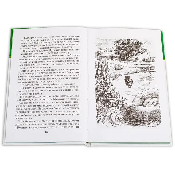 Детская книга "ШБ Паустовский. Заячьи лапы" - 396 руб. Серия: 5 класс, Артикул: 5200174 Детская книга "ШБ Паустовский. Заячьи лапы" - 396 руб. Серия: 5 класс, Артикул: 5200174