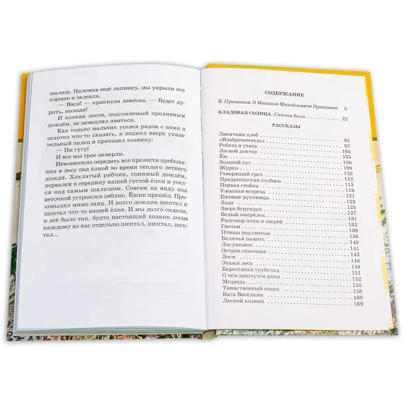 Детская книга "ШБ Пришвин. Кладовая солнца" - 424 руб. Серия: Школьная библиотека, Артикул: 5200180