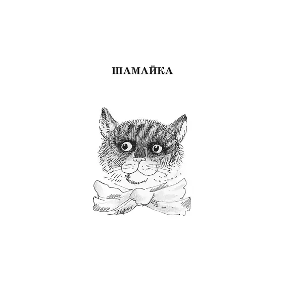 Детская книга "ШБ Коваль. Шамайка" - 374 руб. Серия: Школьная библиотека, Артикул: 5200228