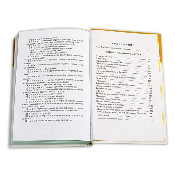 Детская книга "ШБ Аксаков. Детские годы Багрова-внука" - 506 руб. Серия: Школьная библиотека, Артикул: 5200005