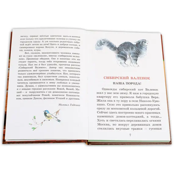 Детская книга "ШБ Вьюгина. Сибирский Валенок" - 297 руб. Серия: Школьная библиотека, Артикул: 5200283