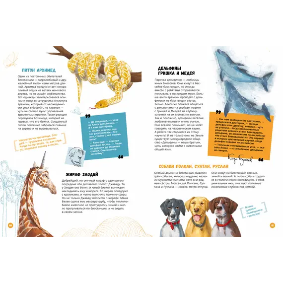 Детская книга "Миры Алисы Селезневой. Путеводитель по книгам Кира Булычева" - 1650 руб. Серия: Книжные новинки, Артикул: 5400901