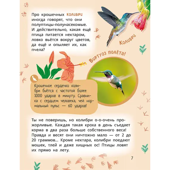 Детская книга "Лева и Лиза знакомятся с необычными животными" - 407 руб. Серия: Лёва и Лиза в поисках ответов, Артикул: 5320004