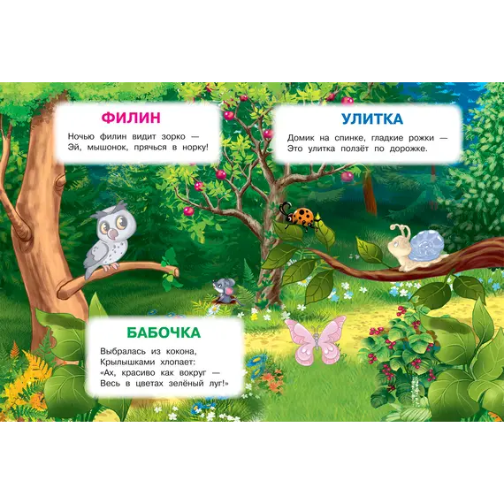 Детская книга "ИУ Шестакова. Лесные животные" - 79 руб. Серия: Школа кота в сапогах , Артикул: 5506006