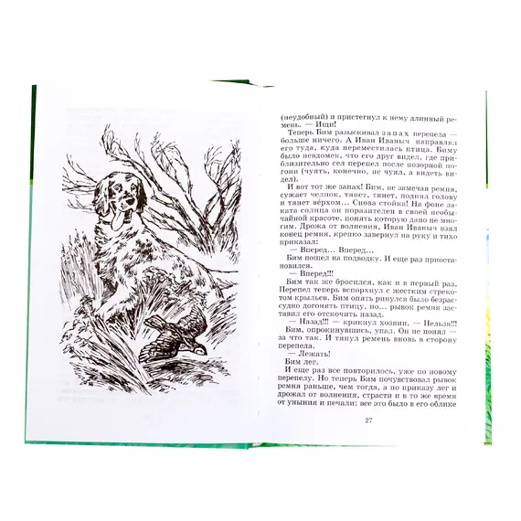 Детская книга "ШБ Троепольский. Белый Бим Черное ухо" - 506 руб. Серия: 6 класс, Артикул: 5200146
