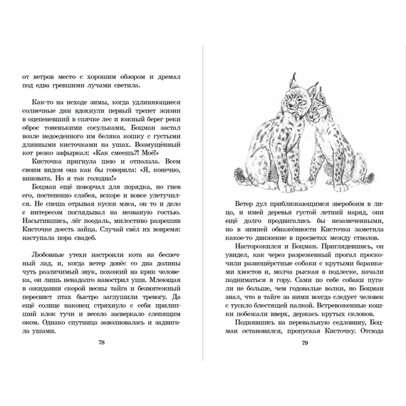 Детская книга "ШБ Зиганшин. Таежными тропами" - 792 руб. Серия: Школьная библиотека, Артикул: 5200384