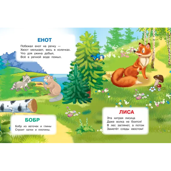 Детская книга "ИУ Шестакова. Лесные животные" - 83 руб. Серия: Школа кота в сапогах , Артикул: 5506006