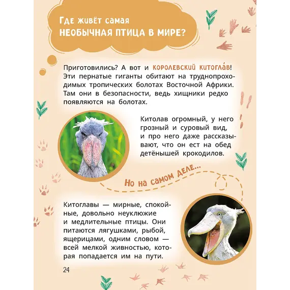 Детская книга "Лева и Лиза знакомятся с необычными животными" - 440 руб. Серия: Лёва и Лиза в поисках ответов, Артикул: 5320004