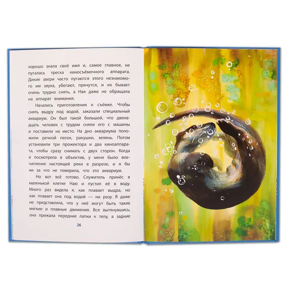 Детская книга "КзК Чаплина. Ная - выдрёнок (тверд переплет)" - 316 руб. Серия: Книга за книгой , Артикул: 5400508