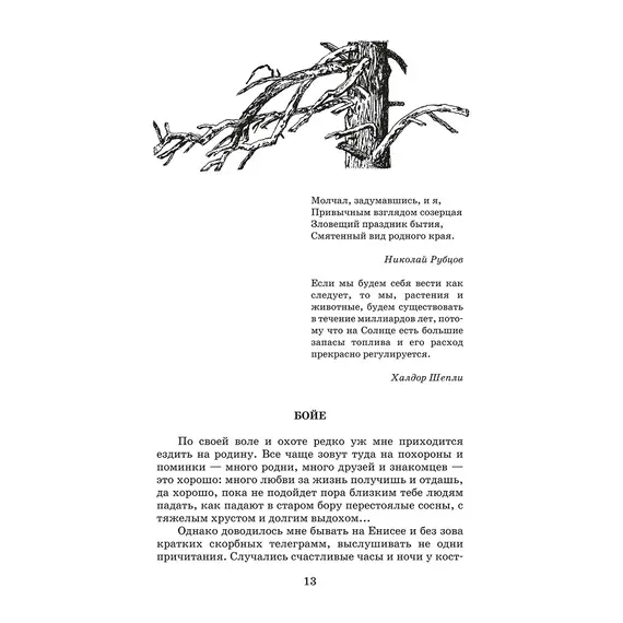 Детская книга "ШБ Астафьев. Царь-рыба (худ. Мурышева)" - 778 руб. Серия: Школьная библиотека, Артикул: 5200397