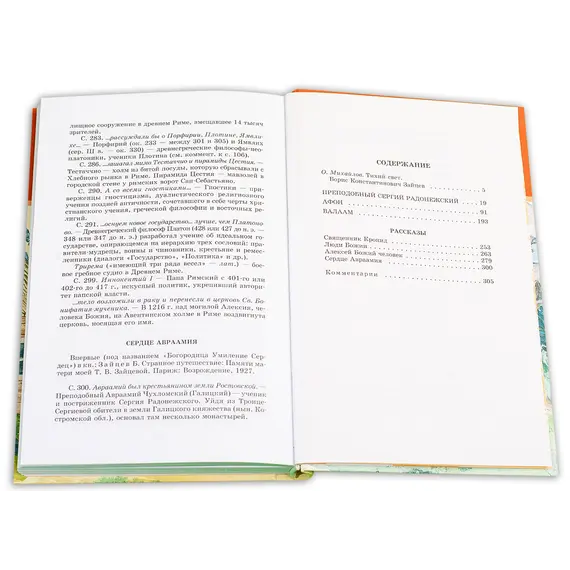 Детская книга "ШБ Зайцев.Преподобный Сергий Радонежский" - 376 руб. Серия: Школьная библиотека, Артикул: 5200203