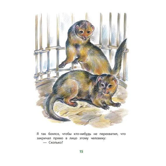 Детская книга "КзК Житков. Рассказы о животных" - 381 руб. Серия: Для начальной школы (1-4 класс), Артикул: 5400544