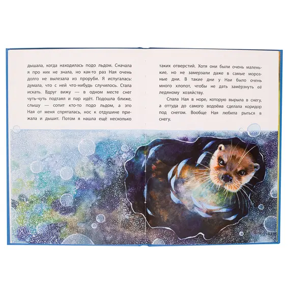 Детская книга "КзК Чаплина. Ная - выдрёнок (тверд переплет)" - 316 руб. Серия: Книга за книгой , Артикул: 5400508