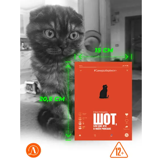 Детская книга "Клишина. Шот, или Кое-кто в моем рюкзаке" - 671 руб. Серия: Сами разберемся!  , Артикул: 5400814