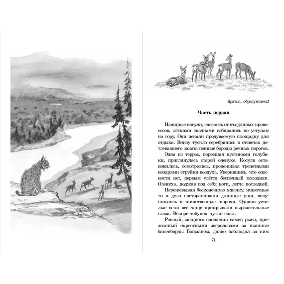 Детская книга "ШБ Зиганшин. Таежными тропами" - 824 руб. Серия: Школьная библиотека, Артикул: 5200384