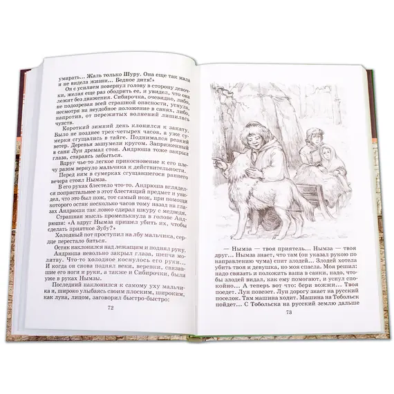 Детская книга "ШБ Чарская. Сибирочка" - 469 руб. Серия: Школьная библиотека, Артикул: 5200198