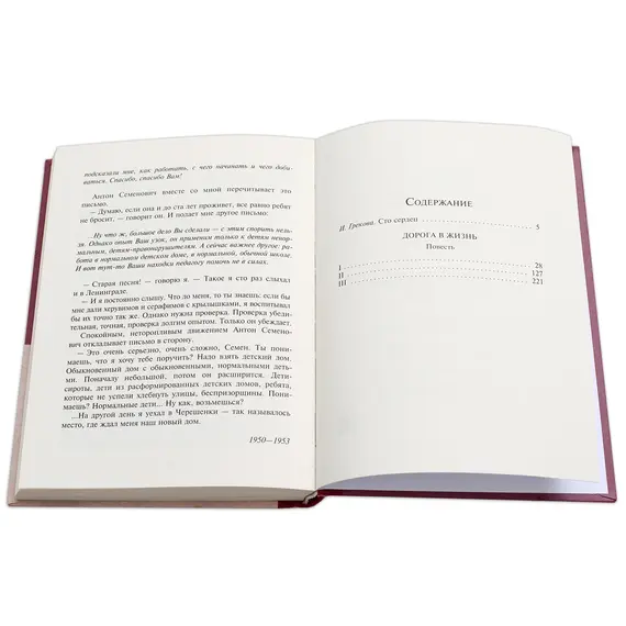 Детская книга "Вигдорова. Дорога в жизнь" - 807 руб. Серия: Пятый переплёт , Артикул: 5400413