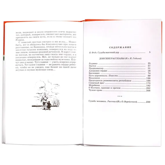 Детская книга "ШБ Шолохов.Донские рассказы,Судьба человека" - 653 руб. Серия: 9 класс, Артикул: 5200164