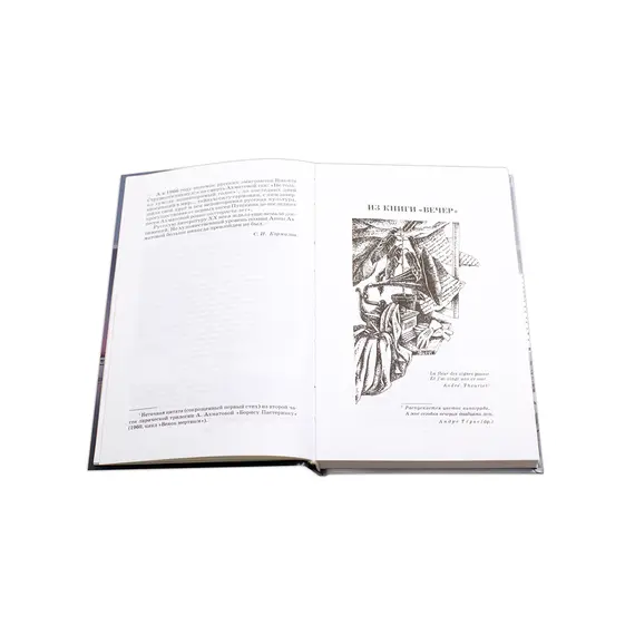 Детская книга "ШБ Ахматова. Стихотворения и поэмы" - 663 руб. Серия: 11 класс, Артикул: 5200093