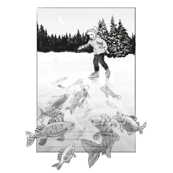 Детская книга "Манахова. Театр теней" - 549 руб. Серия: Сами разберемся!  , Артикул: 5400805