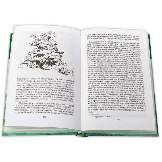 Детская книга "ШБ ТолстойЛ. Война и мир т.2(компл4т)" - 606 руб. Серия: 10 класс, Артикул: 5200027