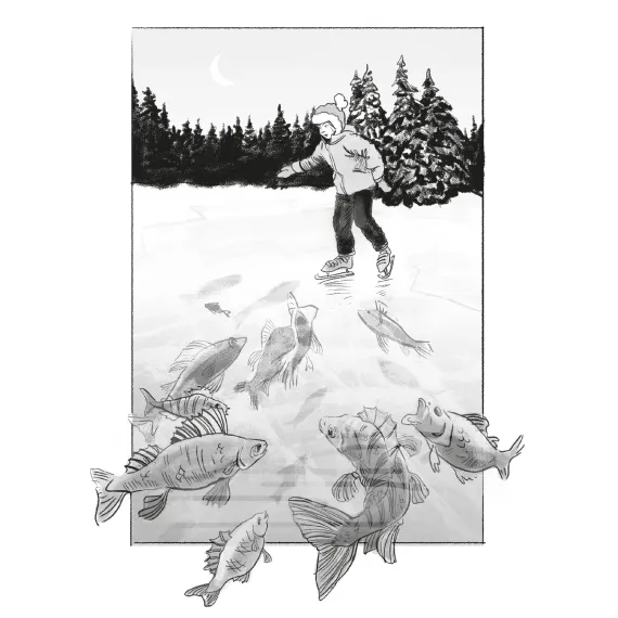 Детская книга "Манахова. Театр теней" - 549 руб. Серия: Сами разберемся!  , Артикул: 5400805