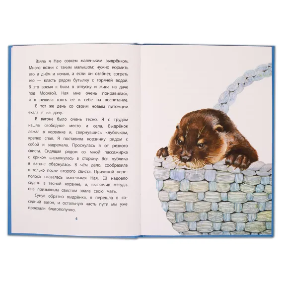 Детская книга "КзК Чаплина. Ная - выдрёнок (тверд переплет)" - 316 руб. Серия: Книга за книгой , Артикул: 5400508