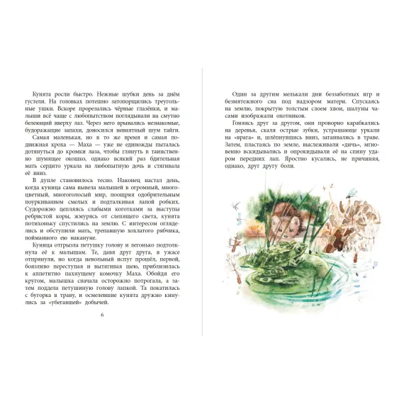 Детская книга "НМ Зиганшин. Маха, или История жизни кунички" - 520 руб. Серия: Наша марка , Артикул: 5701037
