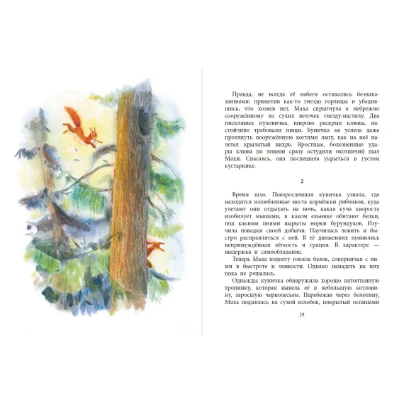 Детская книга "НМ Зиганшин. Маха, или История жизни кунички" - 520 руб. Серия: Наша марка , Артикул: 5701037
