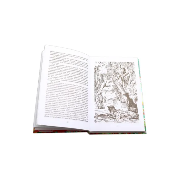 Детская книга "ШБ Беляев. Человек-амфибия" - 469 руб. Серия: Школьная библиотека, Артикул: 5200368