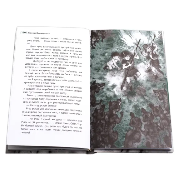 Детская книга "ЛМК Петраковская. Пещера Трёх Братьев" - 311 руб. Серия: Лауреаты Международного конкурса имени Сергея Михалкова , Артикул: 5400137