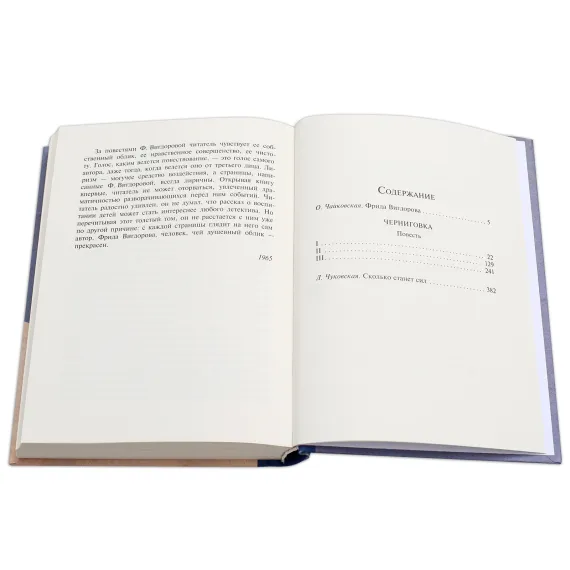 Детская книга "Вигдорова. Черниговка" - 915 руб. Серия: Пятый переплёт , Артикул: 5400415