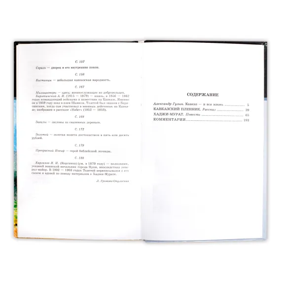 Детская книга "ШБ Толстой Л. Кавказский пленник,Хаджи-Мурат" - 416 руб. Серия: Школьная библиотека, Артикул: 5200144