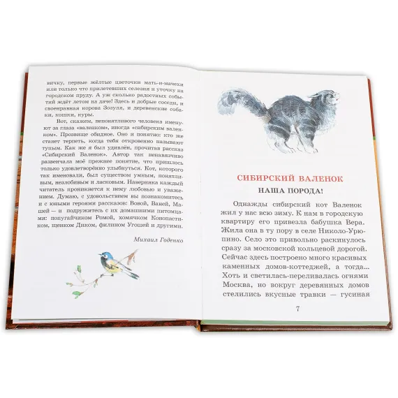 Детская книга "ШБ Вьюгина. Сибирский Валенок" - 309 руб. Серия: Школьная библиотека, Артикул: 5200283
