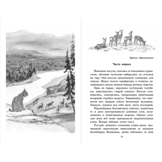 Детская книга "ШБ Зиганшин. Таежными тропами" - 750 руб. Серия: Школьная библиотека, Артикул: 5200384
