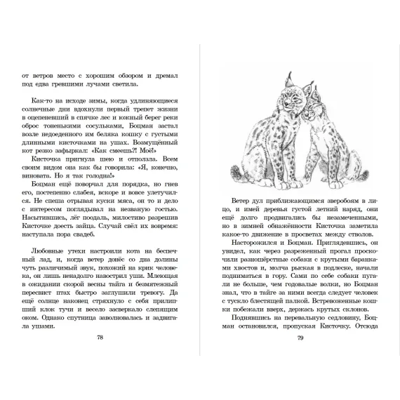 Детская книга "ШБ Зиганшин. Таежными тропами" - 750 руб. Серия: Школьная библиотека, Артикул: 5200384