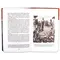 Детская книга "ШБ Пушкин. Дубровский, Капитанская дочка" - 475 руб. Серия: 6 класс, Артикул: 5200122