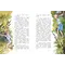 Детская книга "НМ Крапивин. Мушкетер и фея. Три повести о Джонни Воробьеве" - 801 руб. Серия: Наша марка , Артикул: 5701029