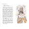 Детская книга "ЛМК Латышкевич. Лисиный перстенек" - 515 руб. Серия: Лауреаты Международного конкурса имени Сергея Михалкова , Артикул: 5400153