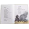 Детская книга "ДВОВ Песни о войне" - 416 руб. Серия: Детям о Великой Отечественной войне , Артикул: 5800610