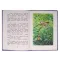 Детская книга "КзК Дмитриев. Сказки про Мушонка и его друзей (тверд переплет)" - 366 руб. Серия: Книга за книгой , Артикул: 5400501